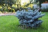 Urban Agriculture Inc.